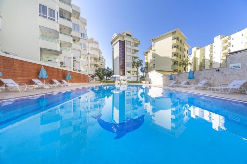 Begonia In Oba * Alanya