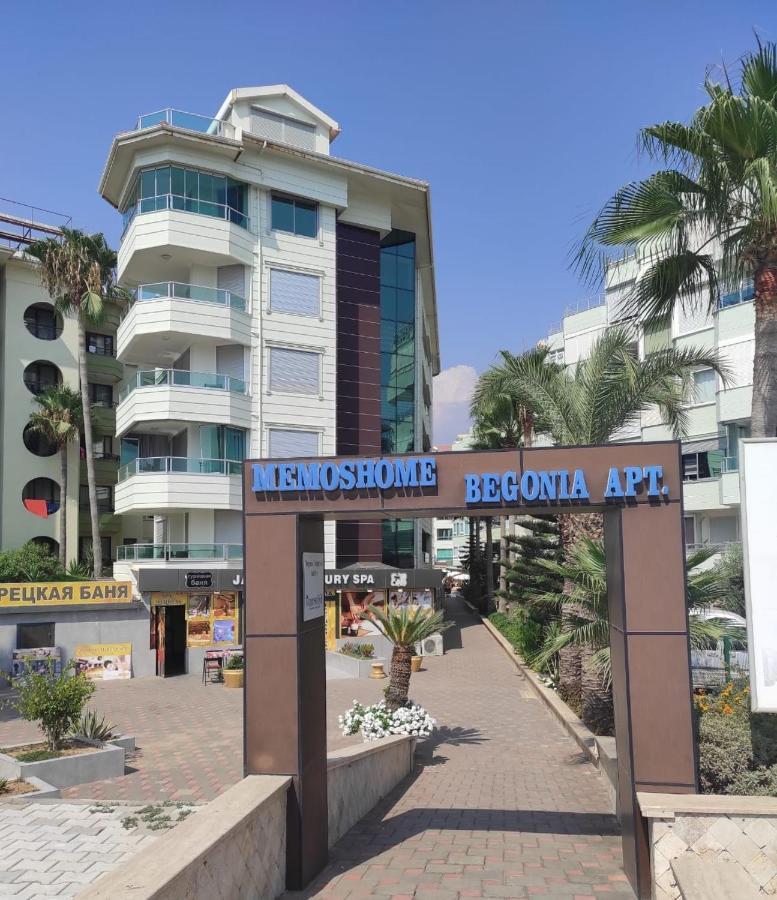 Apartment Begonia In Oba *